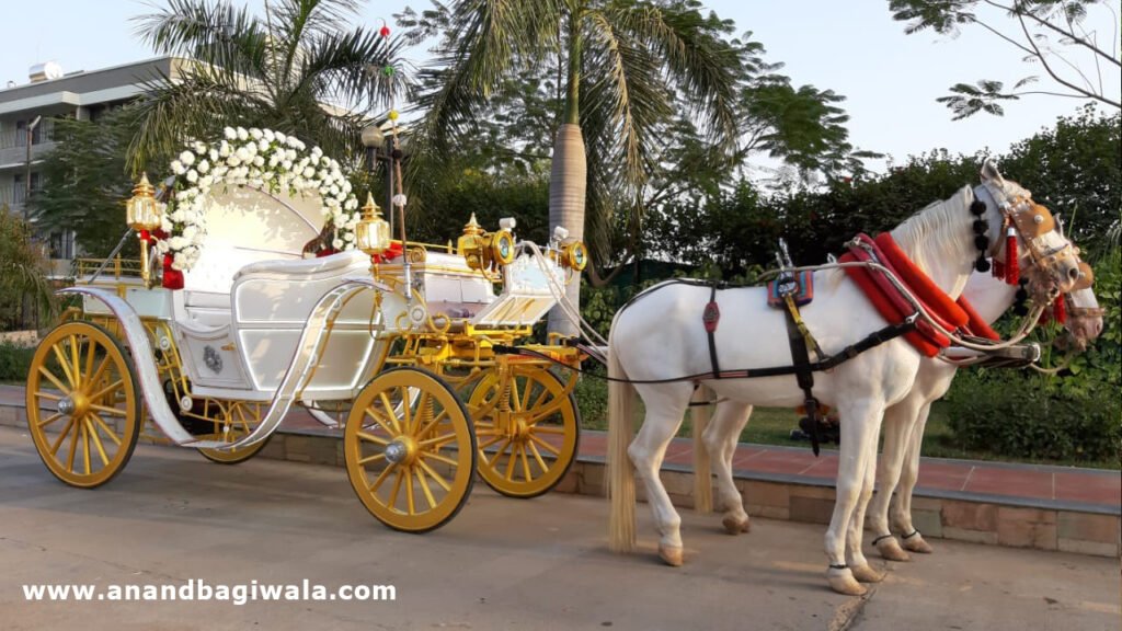 Kohinoor Horse Carriage provider in Anand