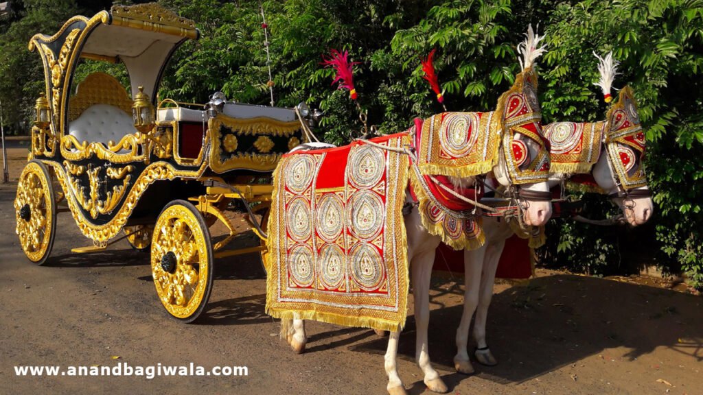 Best Patiyala horse carriage provider in Anand