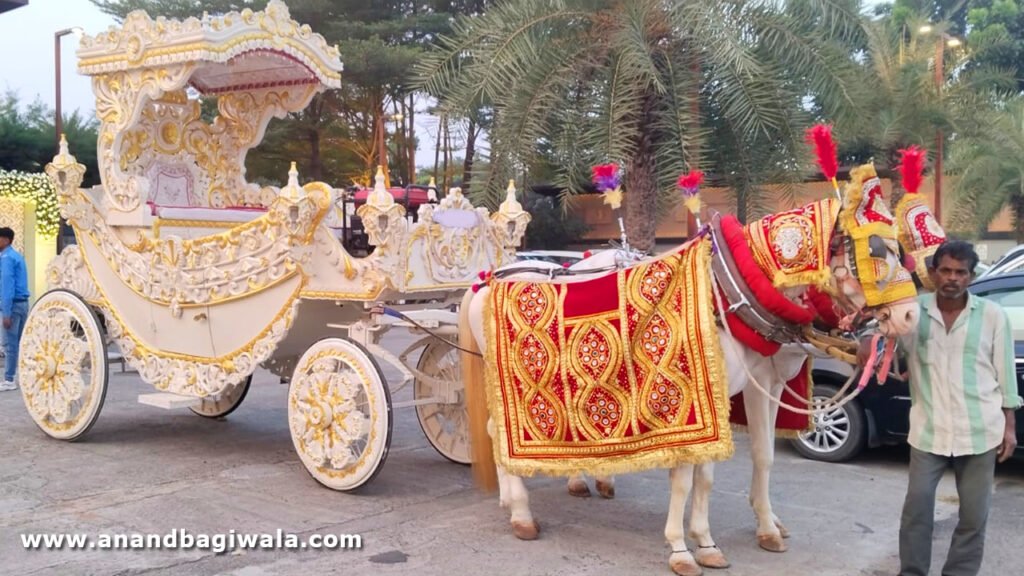 Best White Round Horse Carriage provider in Anand